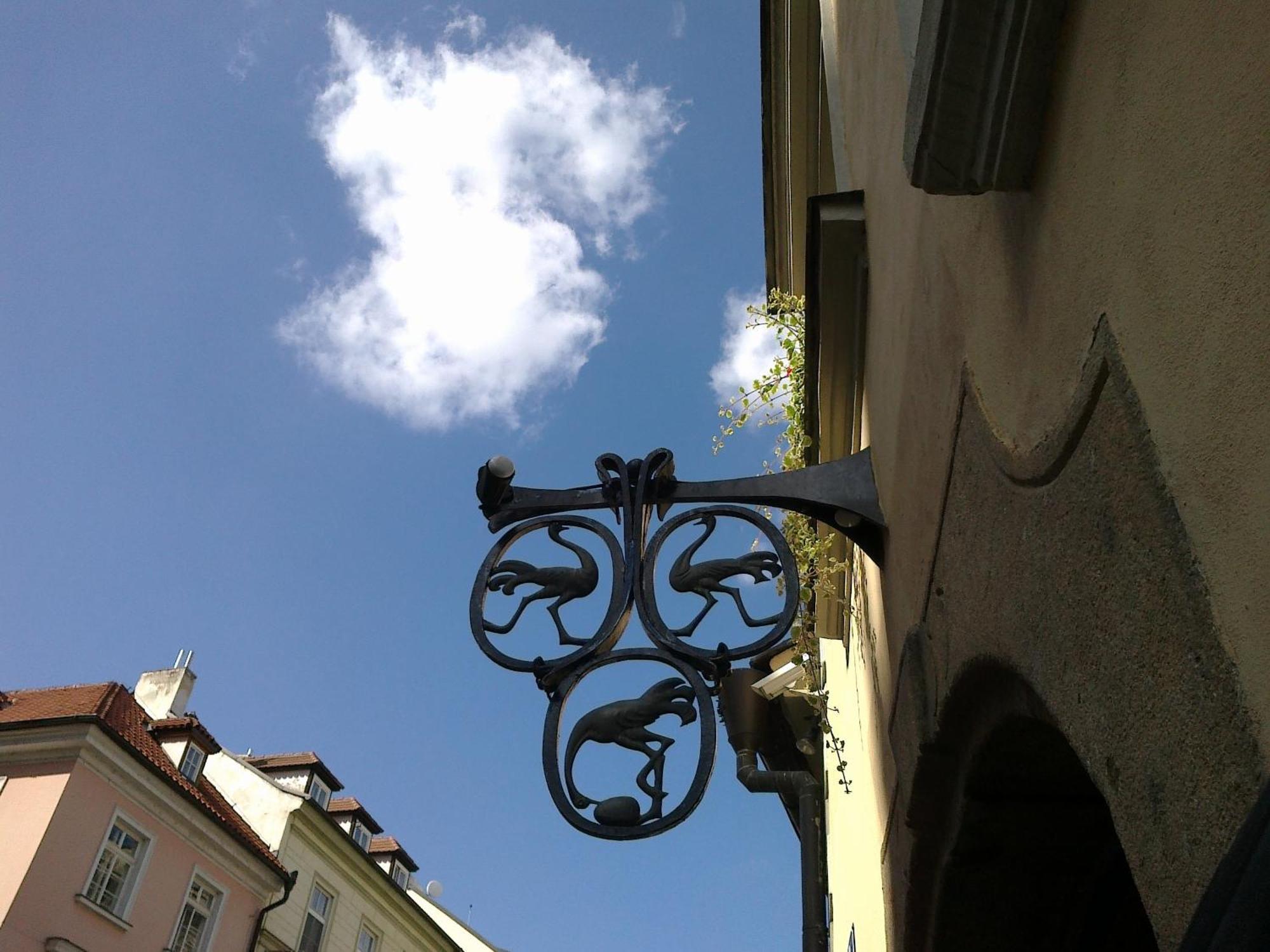 U 3 Pstrosu Prag